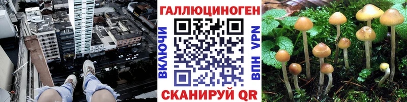 сколько стоит  mega онион  Псилоцибиновые грибы Magic Shrooms  Саров 